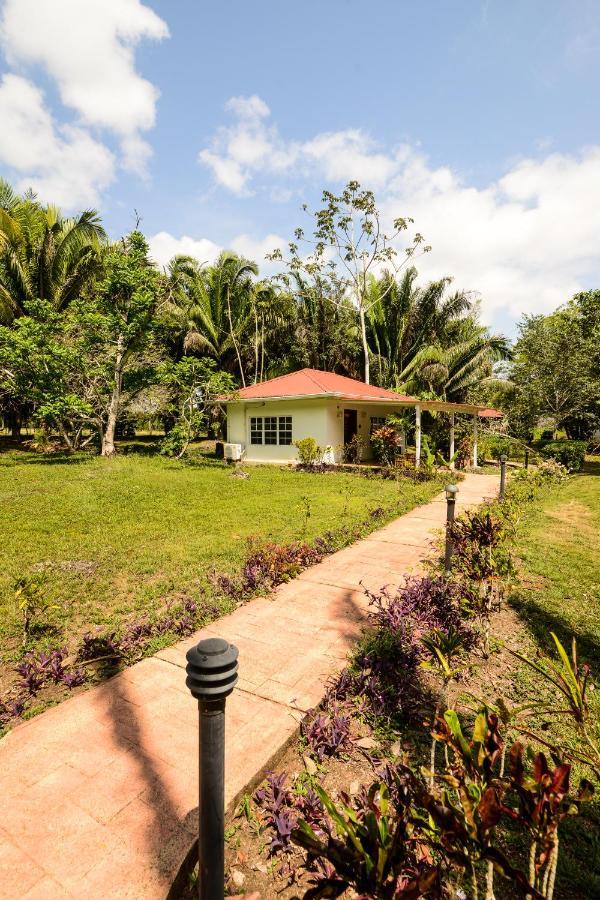 Kikiwitz Resort Belmopan Exterior photo