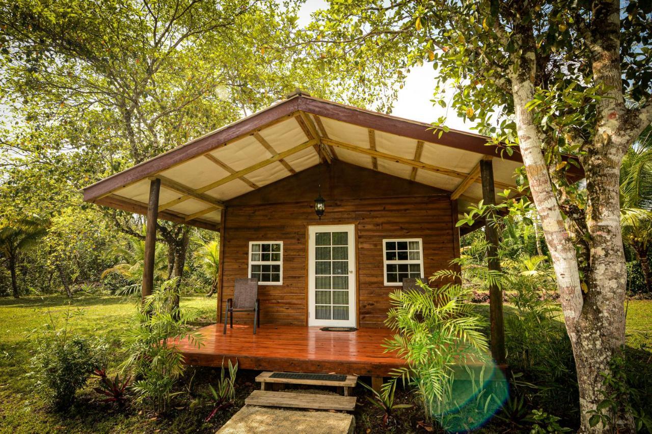 Kikiwitz Resort Belmopan Exterior photo