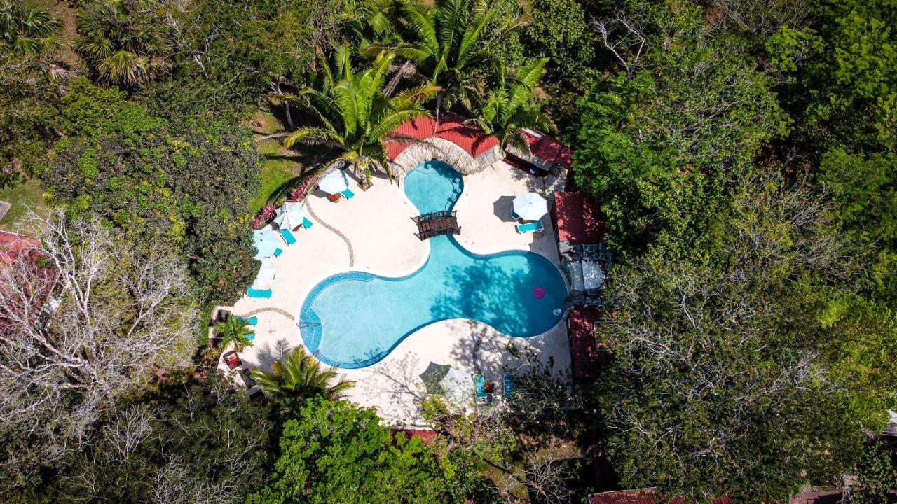 Kikiwitz Resort Belmopan Exterior photo