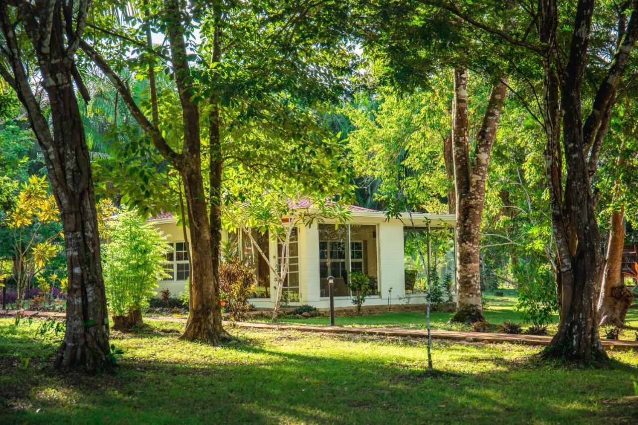 Kikiwitz Resort Belmopan Exterior photo