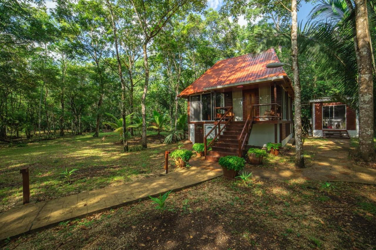 Kikiwitz Resort Belmopan Exterior photo